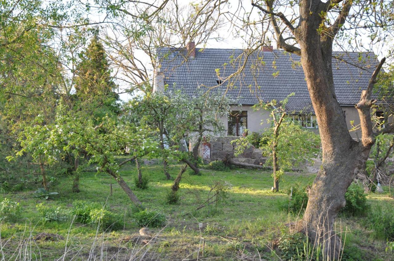 Ferienhaus Caselow 23 Bergholz 외부 사진